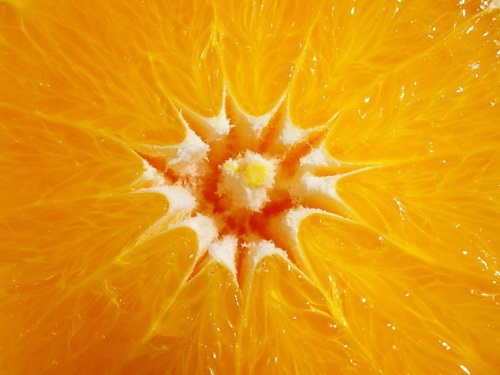 Orange_01_UdoWeingarth.500.jpg