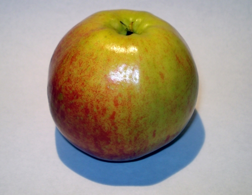 apfel_jonacored_1.jpg