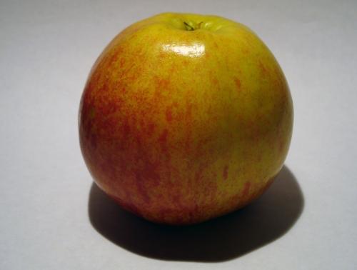 apfel_jonacored_2.jpg